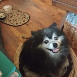 Meet your Posher, Karen